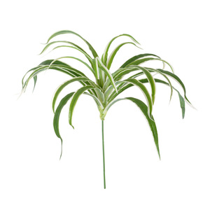 Laixing <b>Artificial</b> <b>Spider</b> <b>Plant</b> 35Cm White Edged Soft Pvc High Simulation Home Decoration - Product Image 5