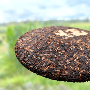Té <span class=keywords><strong>Pu</strong></span> <span class=keywords><strong>Erh</strong></span> Maduro de Yunnan Menghai 2010, Pastel de <span class=keywords><strong>Pu</strong></span>'er de Árbol Antiguo de Montaña Marrón, 357g, Venta Directa de Fábrica - Product Image 2