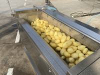 Kleine Industriële Groente Fruit Dunschiller Peeling Machine Slicer Aardappel India
