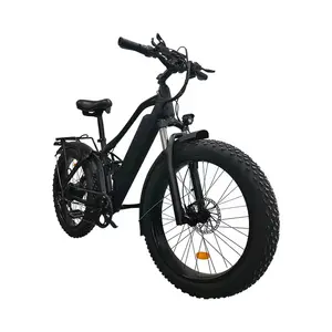 China professional manufacturer direct sales fat tire Eco-friendly electric bike