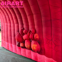 Accessoires de décoration pour activités : Canaux hépatiques gonflables, Canaux rénaux gonflables pour exposition