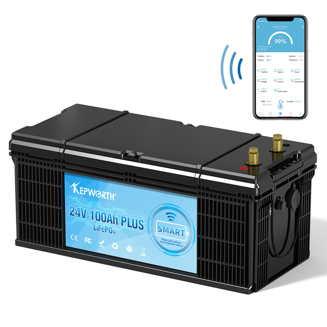 EU Stock Lifepo4 Battery 24V 100Ah Lithium Ion Iron Phosphate Battery 25.6v 100Ah Lifepo4 Battery With Blue Tooth BMS 2560WH