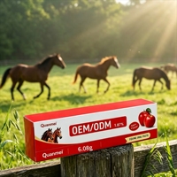 Pâte nutritionnelle orale pour chevaux, supplément multivitaminé doux aromatisé à la pomme à 1,87 %, OEM, faible quantité minimale de commande