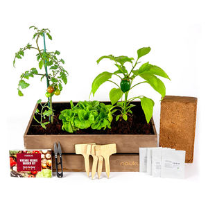 Kit de jardinage miniature écologique pour intérieur/extérieur, laitue, radis, poivrons verts, tomates cerises, <span class=keywords><strong>pot</strong></span> de fleurs <span class=keywords><strong>en</strong></span> bambou, kit de démarrage - Product Image 4