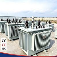 Transformateur de distribution immergé dans l'huile Hongwei Power 10KV 11KV 50 KVA 100 KVA 200 KVA MV HV pour la distribution intelligente des services publics