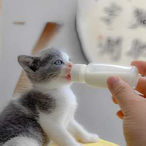 Kit Botol Menyusui Hewan Peliharaan untuk Kucing dan Anjing, Mangkuk Susu Silikon dengan Dot untuk Anak Kucing, Anak Anjing, Kelinci yang Baru Lahir - Product Image 2