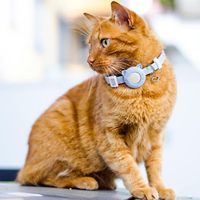 Nouveau collier pour chat AirTag, sangle de cou réglable pour chaton avec étui de suivi anti-perte, conception de sécurité à rupture rapide