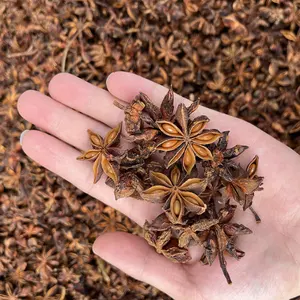 Star Anise Wholesale Largely Supply High Quality Bulk Low Price Low Cost New High-quality Natural