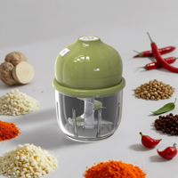 Presse-ail électrique sans fil portable 350ML, mini robot culinaire rechargeable, durable, en acier inoxydable et plastique PP, pour légumes