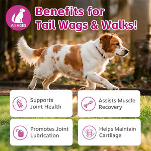 תוסף תזונה נוזלי לכלבים עם קולגן, מותג פרטי בהתאמה אישית (OEM/ODM), לטיפול במפרקים, תמיכה בעור ובפרווה, ותמיכה בניידות. - Product Image 3