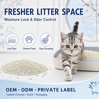 Litière pour chat légère et sans poussière à base de tofu et de manioc, contrôle des odeurs, nettoyage facile, vente en gros pour les animaleries et les distributeurs
