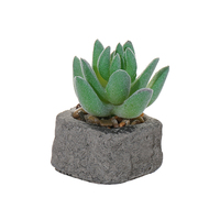 Fleurs artificielles, mini-pots en pierre, plantes succulentes, décoration d'intérieur tendance, accessoires de mariage et de photographie, vert, utilisation en intérieur