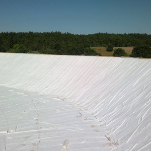 Géotextile non tissé en PP efficace, barrière anti-mauvaises herbes, tissu paysager pour les jardins, les parterres de fleurs et la construction routière - Product Image 1