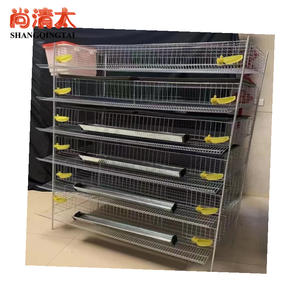 Commercio all'ingrosso nuovo stato H-tipo gabbie di quaglia uso domestico uccello di produzione di uova di materiale plastico <span class=keywords><strong>per</strong></span> gabbie <span class=keywords><strong>per</strong></span> animali da allevamento di polli - Product Image 3