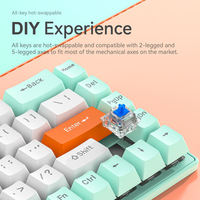 68-key Wired RGB Backlit Programmable Anti-Ghosting Gaming Mechanical Keyboard Double-shot Injection Molded Keycaps Full-key