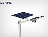 Cishine Poste de Luz Solar de Acero Galvanizado con Fibra Óptica, Octogonal, Cónico y Curvo, de 6m, 7m, 8m, 9m, 10m - Precio