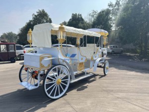 Carruaje eléctrico clásico de estilo europeo para hacer turismo, boda, lujo, Cenicienta, Metal, calabaza, caballo, carro, favores a la venta - Product Image 5