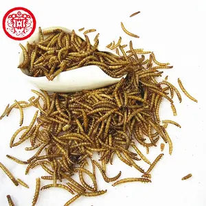 High Protein Dried Mealworms Pet Food Protein 57% Cat Dog Food Cheap Price