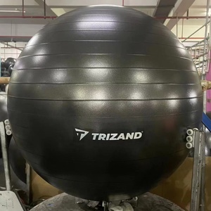 <span class=keywords><strong>Pelota</strong></span> <span class=keywords><strong>de</strong></span> Equilibrio <span class=keywords><strong>de</strong></span> PVC Negra, Resistente, <span class=keywords><strong>Grande</strong></span>, Ecológica y Suave <span class=keywords><strong>de</strong></span> 65 cm para Yoga, <span class=keywords><strong>Pilates</strong></span>, Fitness y Ejercicio - Product Image 1