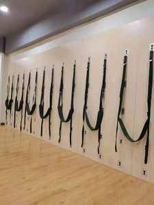 <span class=keywords><strong>Mur</strong></span> de studio de <span class=keywords><strong>Pilates</strong></span> commercial haut de gamme en bois durable, <span class=keywords><strong>mur</strong></span> de yoga pour la santé - Product Image 3