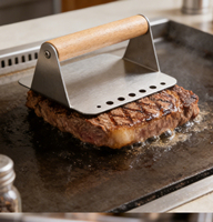 Presse à hamburgers carrée en acier inoxydable, presse à viande robuste pour barbecue, cuisine et grillades