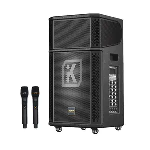 2023 Phong Cách Mới Giá Tốt Nhất 12 Inch Loa Xe Đẩy Di Động Bluetooth Bằng Gỗ Loa Âm Thanh Máy Nghe Nhạc Karaoke Hoạt Động Cặp Loa