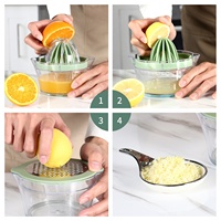 Extracteur de Jus Manuel Portable Multifonctionnel en Acier Inoxydable pour Fruits et Légumes – Modèle à Pression Manuelle