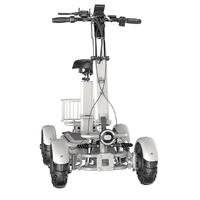 Plage ou Route Pneu 4 Roues Double Entraînement Batterie Au Lithium Mini Électrique Abordable Luxe Dune Buggy pour Adultes