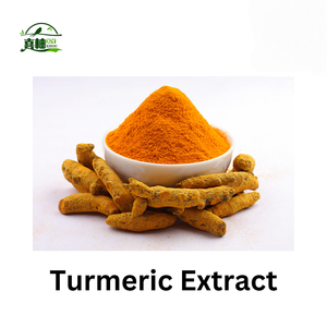 XIYOU 100% Natural Curcuma Longa Turmeric Extract Pó Orgânico Extrato Raiz De Açafrão - Product Image 4