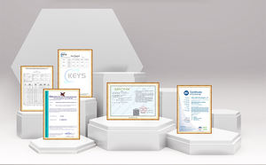 Suplemento de hierro liposomal, ácido fólico, vitamina B12, soporte energético para la producción de glóbulos rojos, dosis de cápsula blanda para adultos - Product Image 6