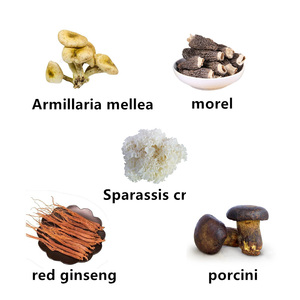Polvo de Hongos Shiitake Mixtos Orgánicos, Extracto de Hongos Lingzhi, Cordyceps y Morel, Personalizable y con Marca - Product Image 3