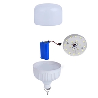 Lumière led portable en plastique, 30W 60W 90W, éclairage de camping, tente, entrepôt, pique-nique, marché, batterie d'urgence rechargeable
