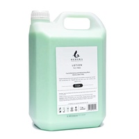 Shampooing et revitalisant pour hôtel Debora OEM Manufacturer, saveur naturelle d'arbre à thé, 5 L, ensemble d'articles de toilette pour hôtel en vrac de 5 litres