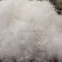 Vente en gros duvet de canard blanc en plumes d'oie veste bon marché rembourrée en duvet pour couettes oreillers coussins
