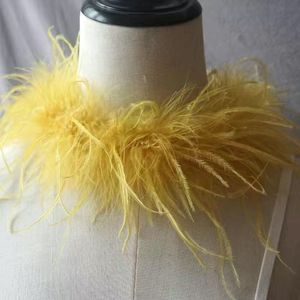 Boa en Plumes d'Autruche Teintes Écologiques 1 Plis, Non Toxique, pour la Mode Durable et les Projets Artisanaux - Product Image 1