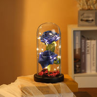 Cadeau de Saint-Valentin Deux Fleurs Éternelles Conservées sous Cloche en Verre avec Lumières LED Rose Éternelle Ornements Cadeau Fête des Mères Décoration Maison