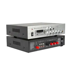 Amplificador de 2 canales de audio portátil personalizado