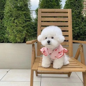 Gilet en forme de fraise pour petits chiens et chatons, vêtements respirants pour animaux de compagnie, blanc et rose - Product Image 2