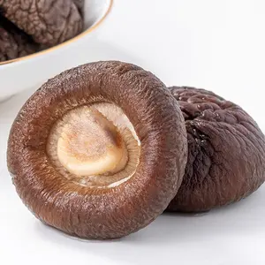 Champignon Shiitake cru/champignon séché