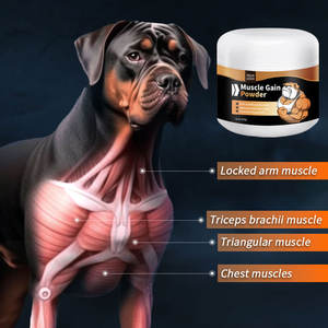 Suplemento muscular en polvo para perros y gatos de alta proteína, suplemento nutricional para aumento de peso y crecimiento - Product Image 2