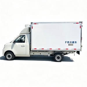 Camión Congelador Pequeño de -18 Grados, Furgoneta Refrigerada de 3 m³, <span class=keywords><strong>Euro</strong></span> 5, Automático, Nuevo Motor de Gasolina, Unidad de Refrigeración de Marca Superior para Hielo - Product Image 4