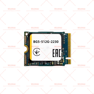 Disque SSD M.2 pour Ordinateur Portable et de Bureau BG5-512G-2230 - Product Image 2