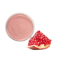 100% Pure Food Grade Gedroogde Biologische Granaatappel Extract Poeder Natuurlijk/Granaatappel Fruit Poeder P.E.