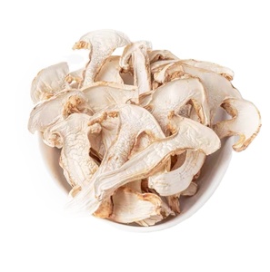 Tricholoma <span class=keywords><strong>Matsutake</strong></span> séché de qualité naturelle, très demandé, pour la cuisine - Product Image 5