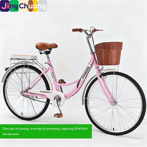 Bicicletta Cross-Border di Alta Gamma: 24/26 Pollici, Stile Vintage con Cestino, Monovelocità, Fornitura Diretta per Studenti Universitari - Product Image 2