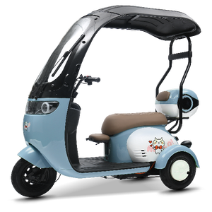Nuevo Estilo, Hecho en China, Scooter de Alta Calidad, Triciclo de Gran Espacio, Triciclo de Tres Ruedas con Neumáticos Anchos y Techo - Product Image 6