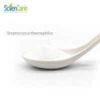 Poudre de probiotiques de qualité fiable Streptococcus Thermophilus