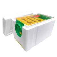 Apiculture reine élevage simple polystyrène accouplement Nucs ruche équipement mousse reine élevage ruche boîte pour apiculteur