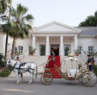 Chariot de chevaux romantique pour mariage et visites touristiques / Magnifique chariot de chevaux princesse citrouille