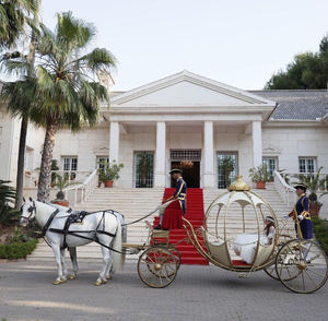 Chariot de chevaux romantique pour mariage et visites touristiques / Magnifique chariot de chevaux princesse citrouille - Product Image 5